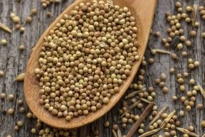 Koriander / 500g 3 Koriander / 500g